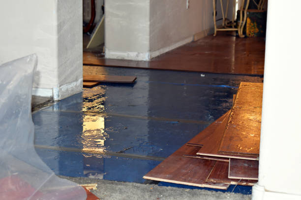 Professional Water Damage Restoration technician working in Horace, ND